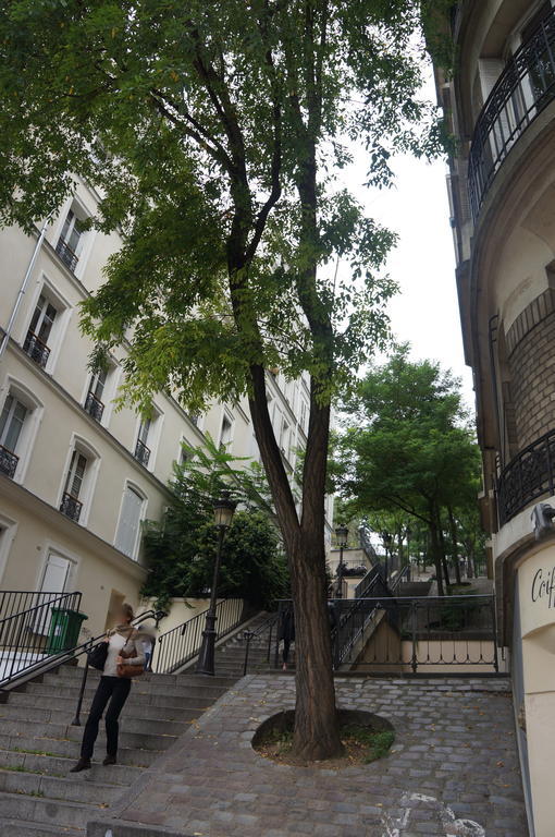 פריז Studios De Charme A Montmartre מראה חיצוני תמונה